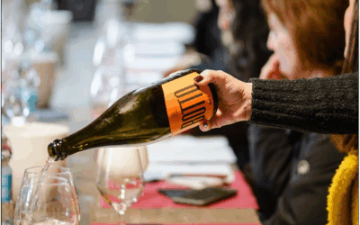 Wine Tasting