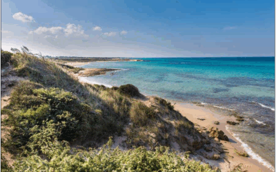 Mare